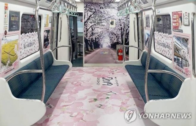 Busan, Blossom, Metro 관련 한류 여행 이슈 정리 대표 이미지