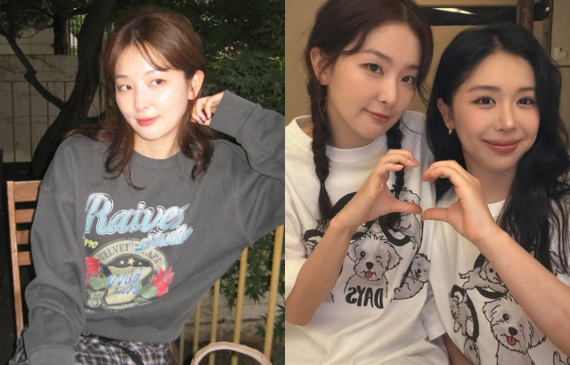 레드벨벳 슬기가 사랑하는 사촌을 잃었습니다! 개인채널에서 갑자기 2주간 업데이트를 중단한다고 발표해 팬들이 마음이 아팠습니다. 대표 이미지